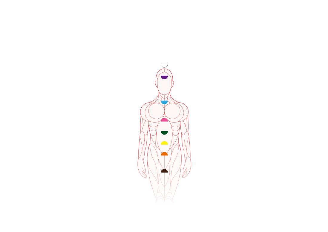 Seven chakras on human body in red, orange, yellow, green, blue, indigo, violet representing energy centers and chakra healing