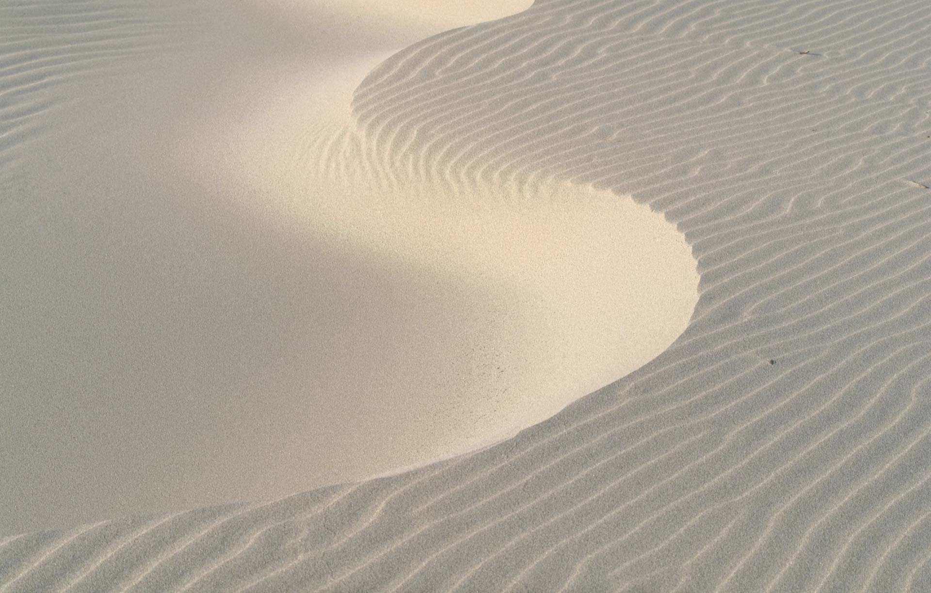 Understanding Your Energy Field: A Complete Guide