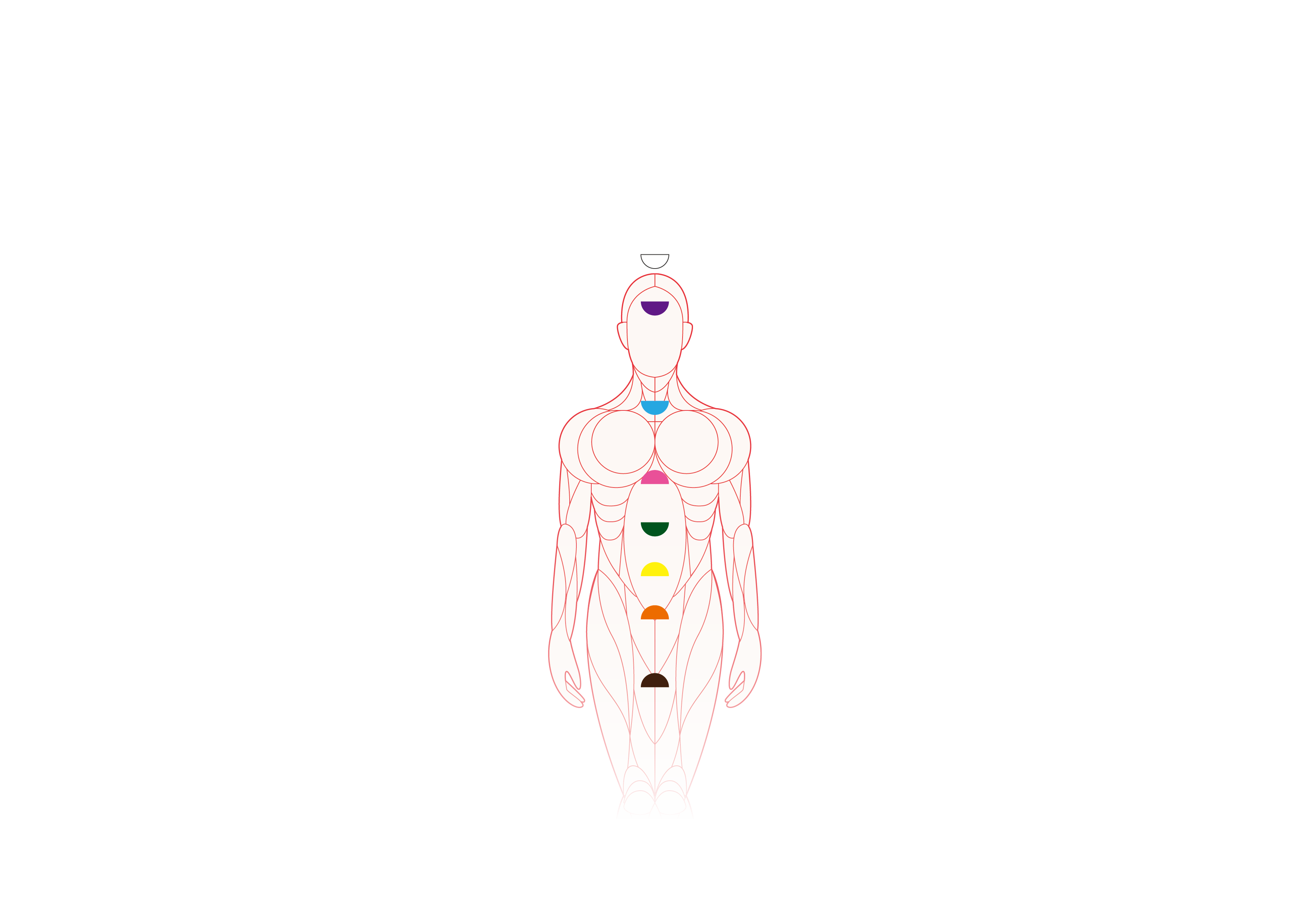 Seven chakras on human body in red, orange, yellow, green, blue, indigo, violet representing energy centers and chakra healing