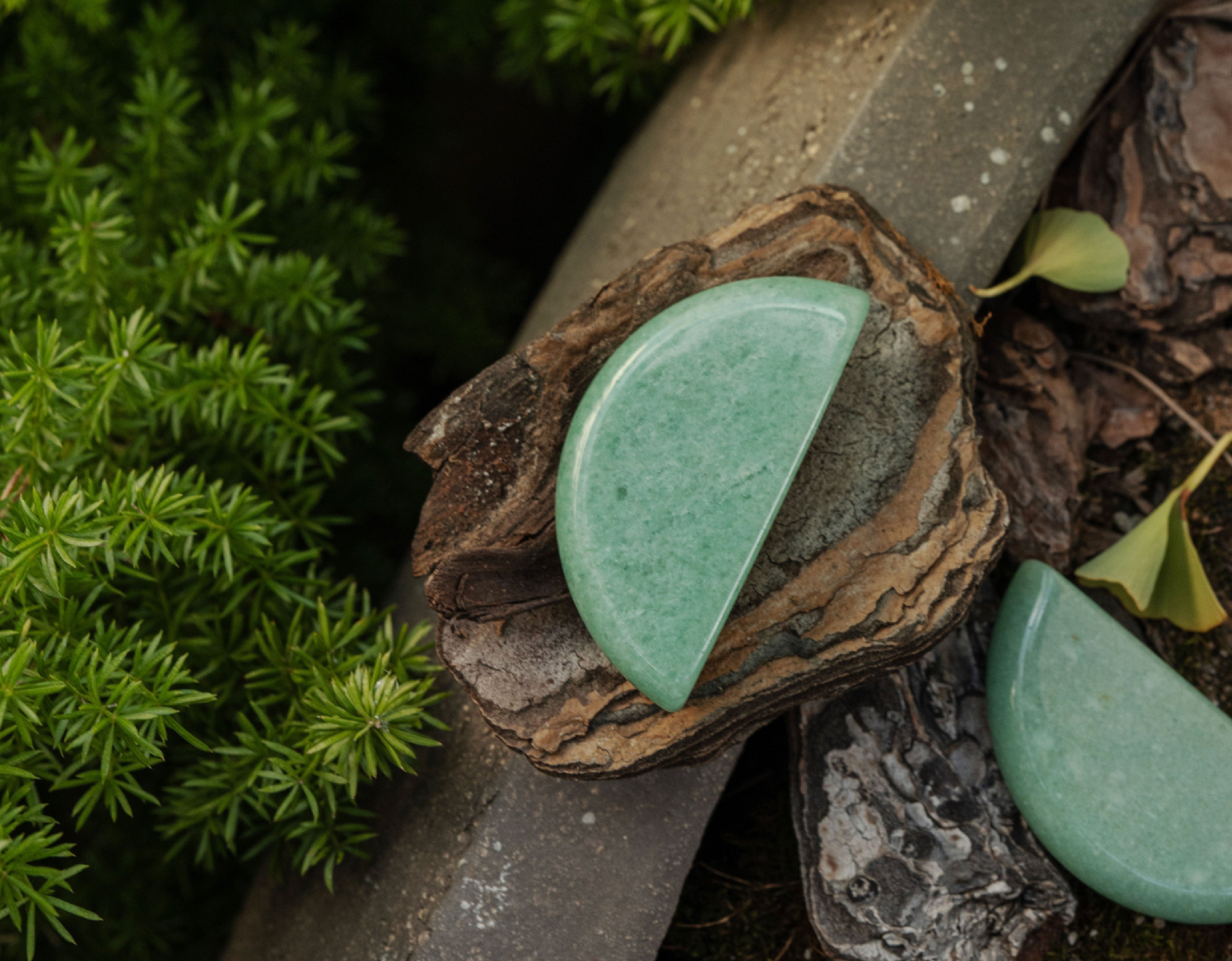 Green Aventurine crystals with fresh greenery for heart chakra healing and vitality