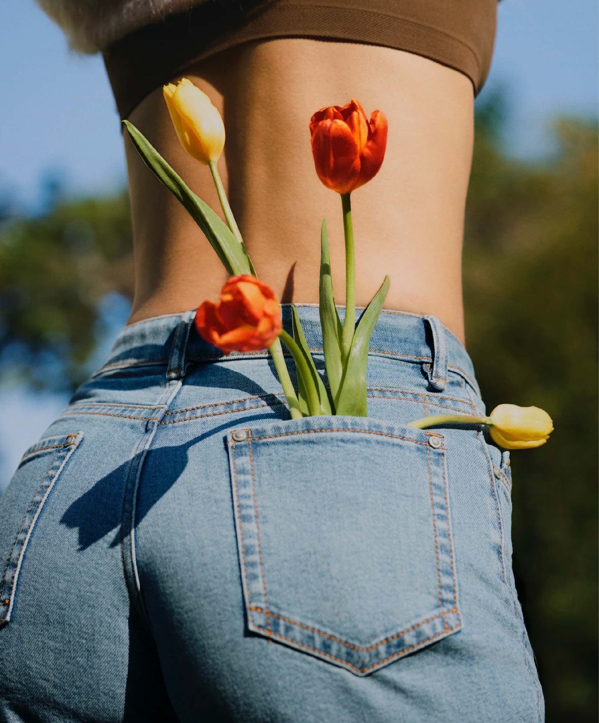 Orblink Brand Beliefs - Tulips in Pocket Symbolizing Wellness Journey, Nature & Positive Change