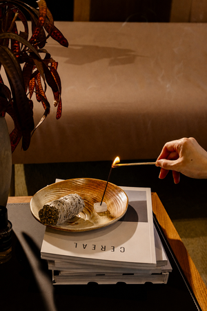 White Sage Cleansing Ritual Incense - Orblink