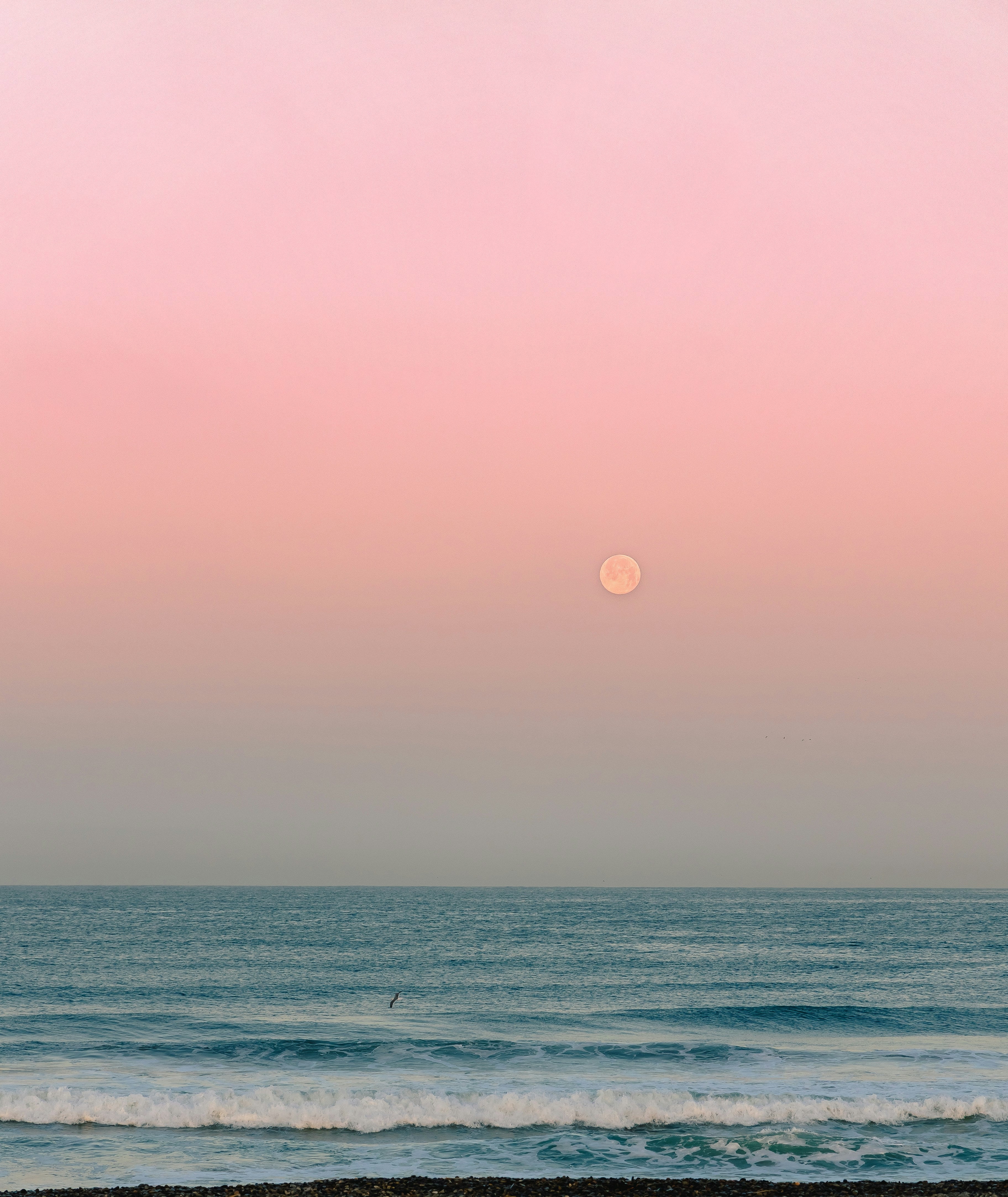 Sunset over the ocean with a pink sky and a small moon.
