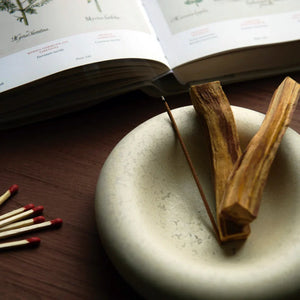 Orblink Palo Santo Ritual Set - Natural Wood & Incense with Botanical Book for Ancient Wisdom & Cleansing