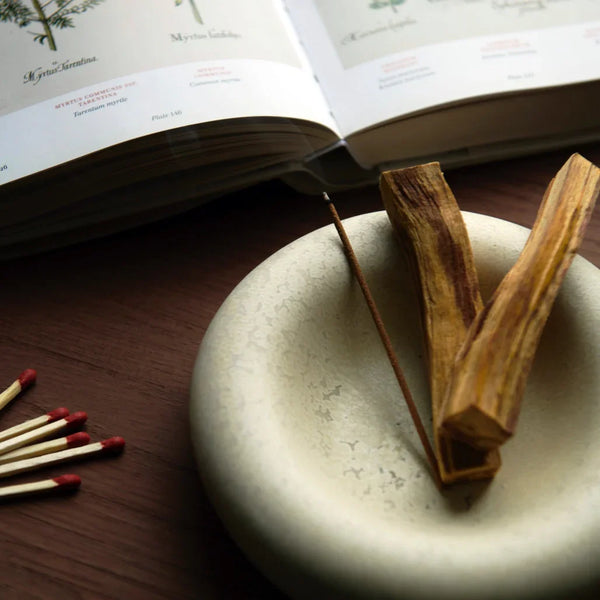 Orblink Palo Santo Ritual Set - Natural Wood & Incense with Botanical Book for Ancient Wisdom & Cleansing